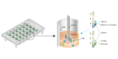 PHCbi LiCellMo Live Cell Metabolic Analyzer
