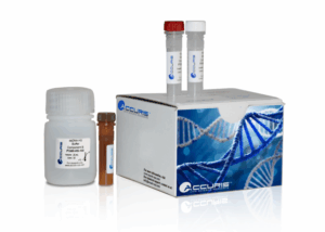 Broad Range dsDNA Quantification Kit, 100 assays