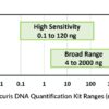 High Sensitivity dsDNA Quantification Kit, 100 assays
