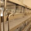 Rat Suspended Shelf Rack Static Caging Systems