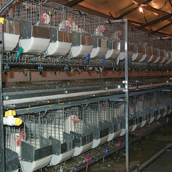 Alternative Design Artificial Insemination Cage System