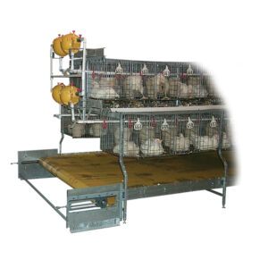 Alternative Design Feed Conversion System