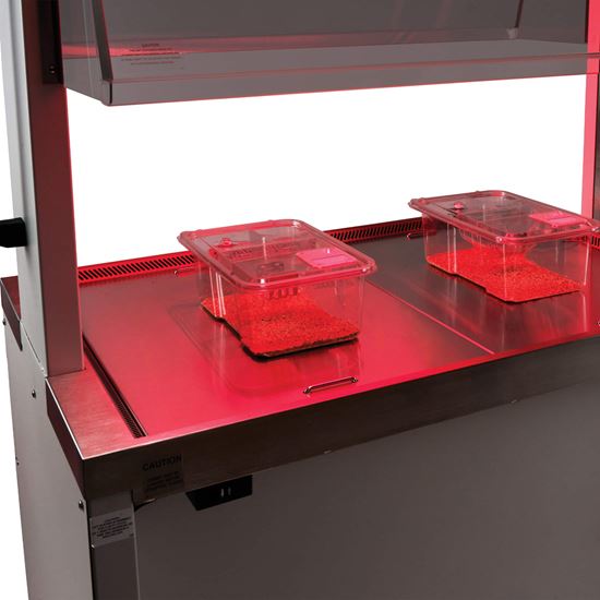 NuAire AllerGard NU-622 Dual Sided Animal Transfer Station