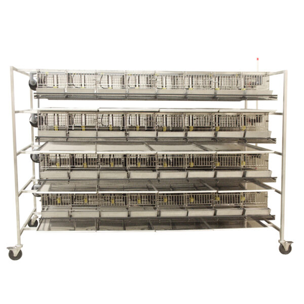 Alternative Design Quail Racks 64-Cage Housing Unit
