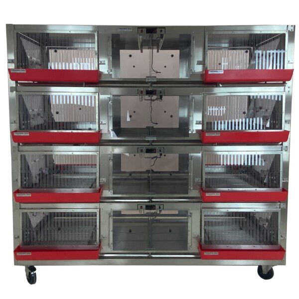 Alternative Design Poultry Super Brooder