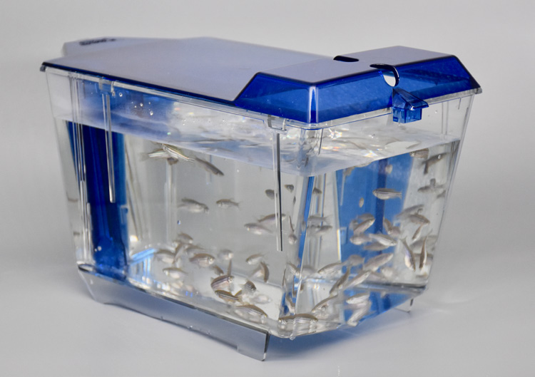 Iwaki Aquatic LAbREED® Bench-Top Zebrafish Systems