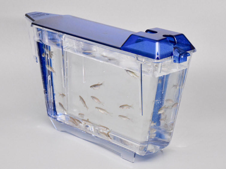 Iwaki Aquatic LAbREED® Bench-Top Zebrafish Systems