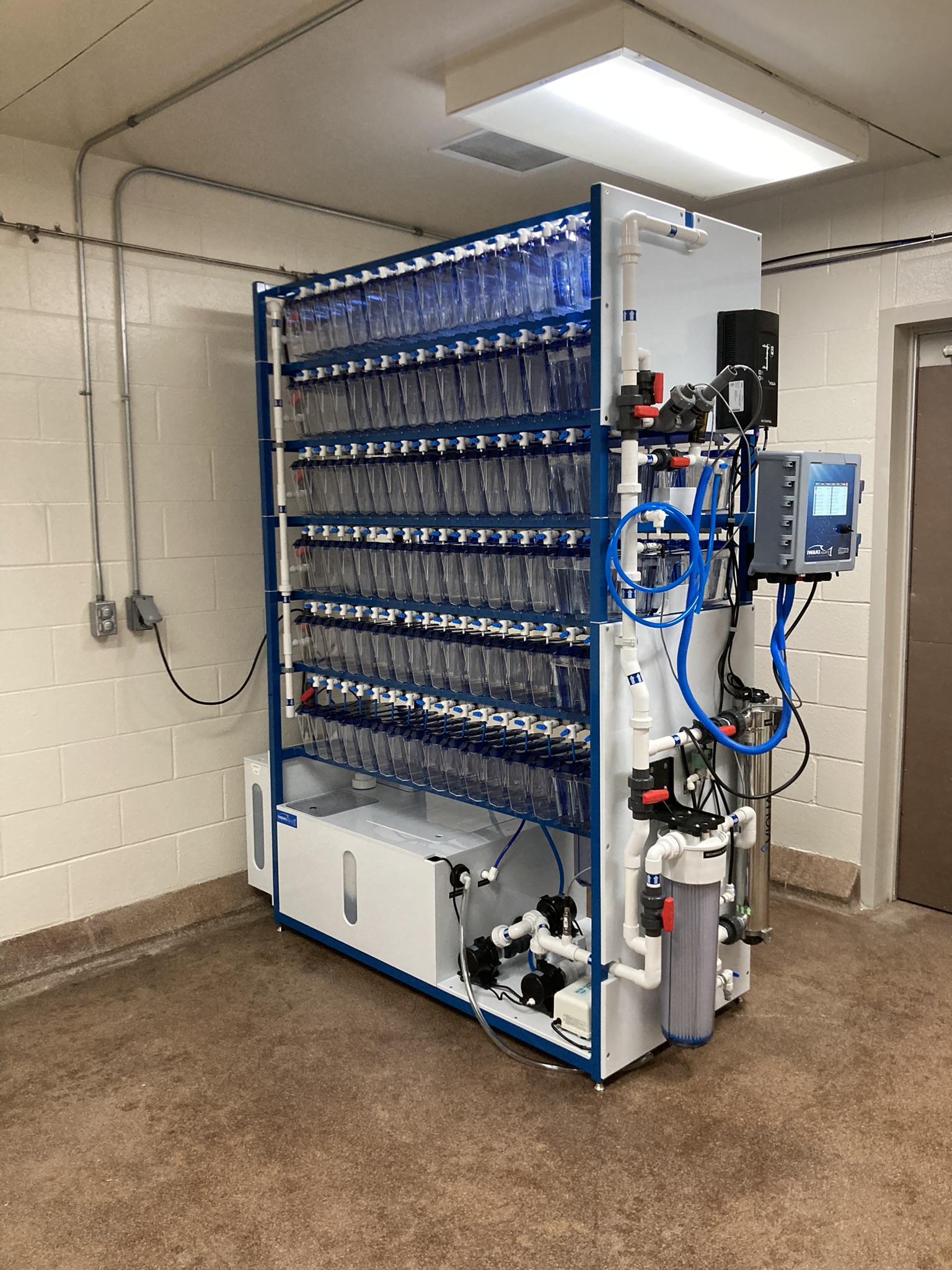 Iwaki Aquatic Double Zebrafish Multi-Rack Systems