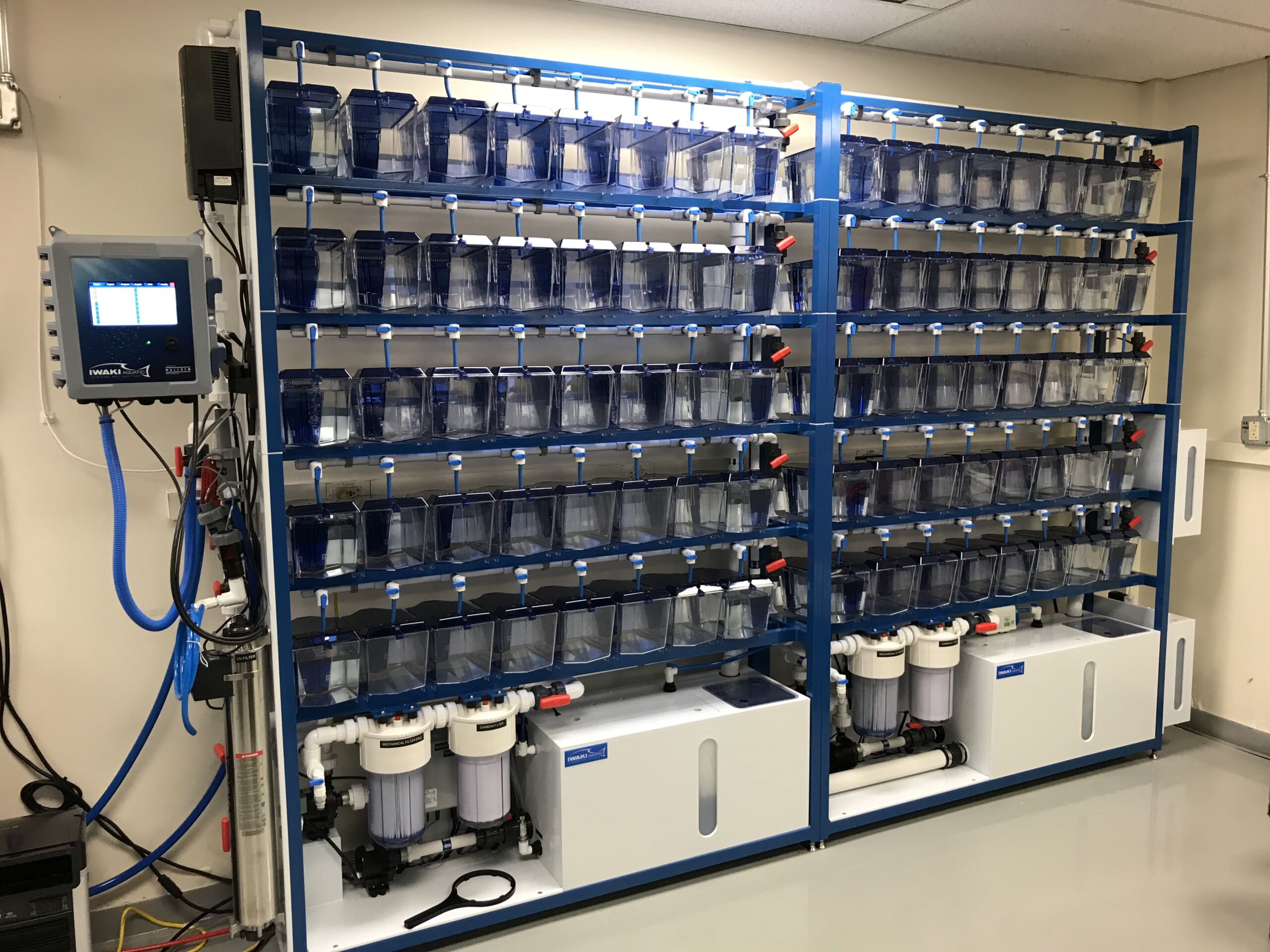 Iwaki Aquatic Double Zebrafish Multi-Rack Systems