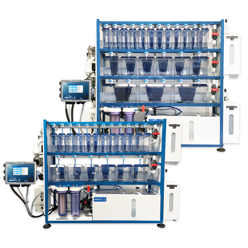 Iwaki Aquatic LAbREED® Bench-Top Zebrafish Systems