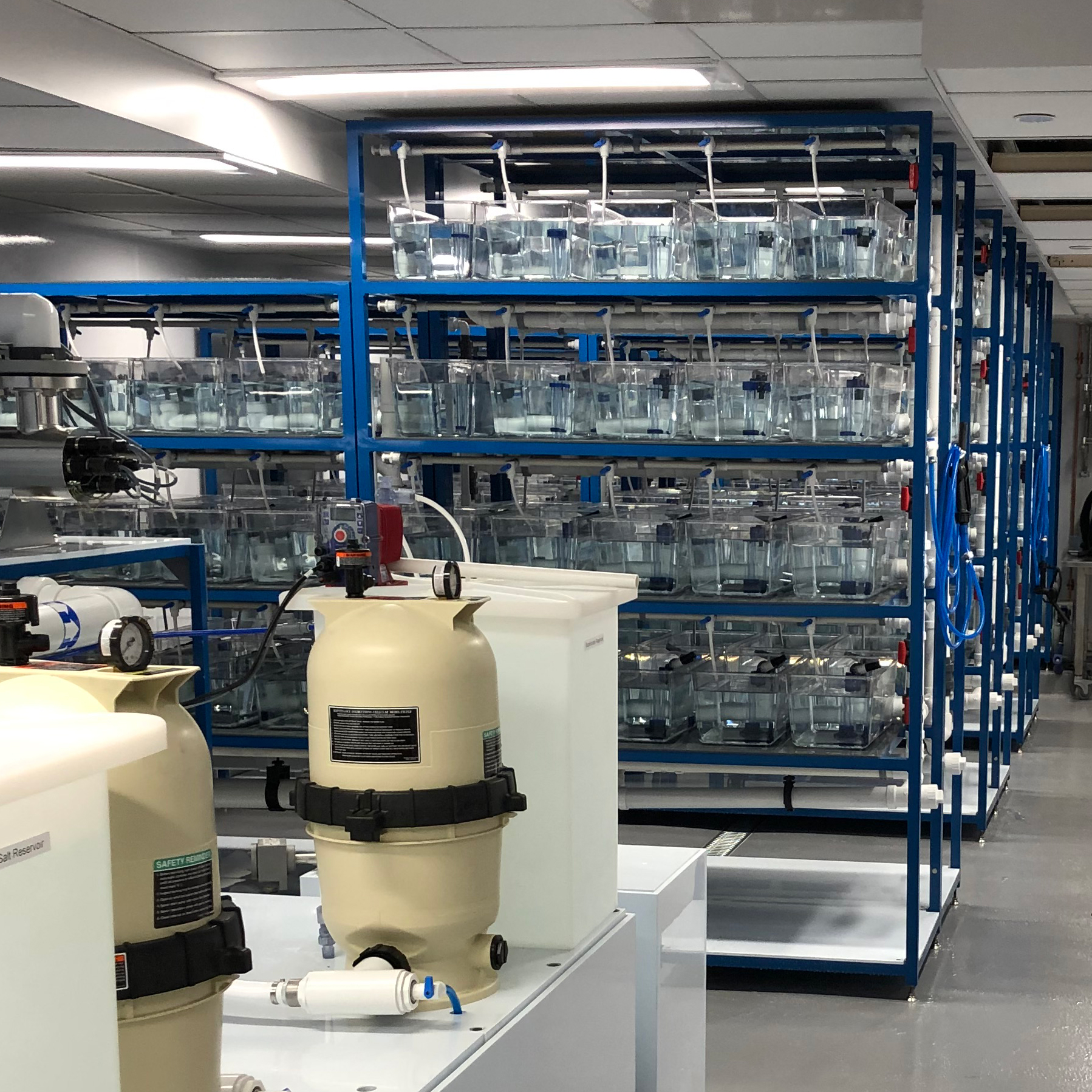 Iwaki Aquatic Double Zebrafish Multi-Rack Systems