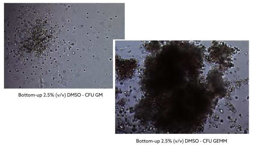 SmartFreez CELL Bottom-Up Controlled Rate Freezing System
